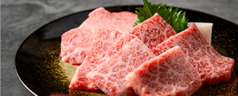 /products/search_regular