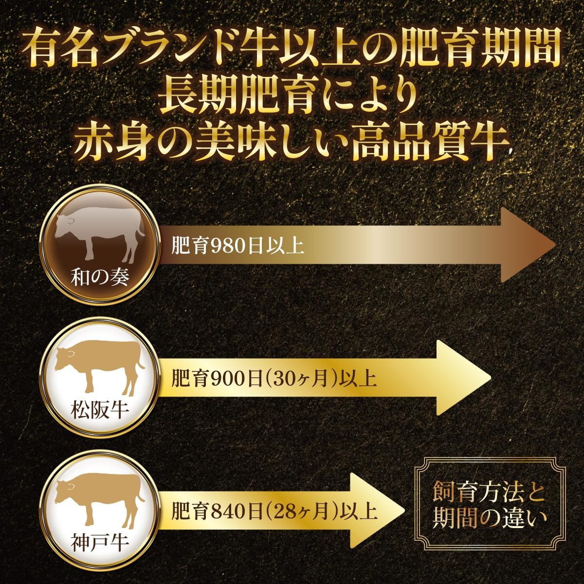 天童牛 ブリスケバラ