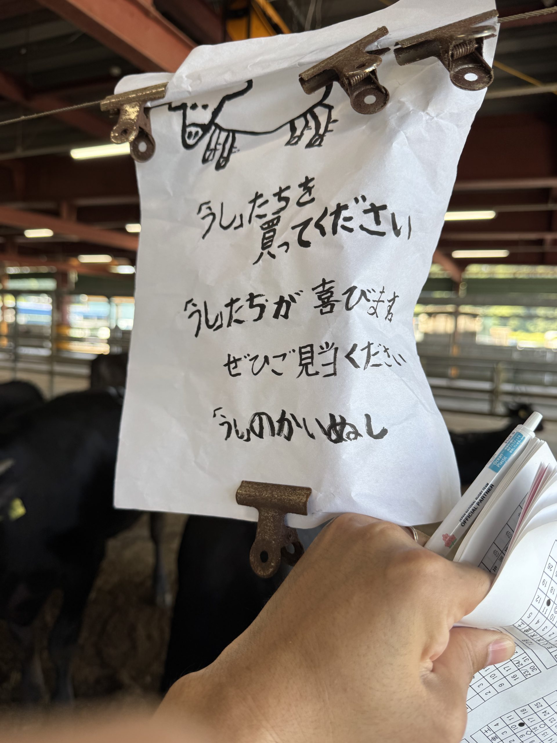 家畜市場で見つけた手描きの張り紙