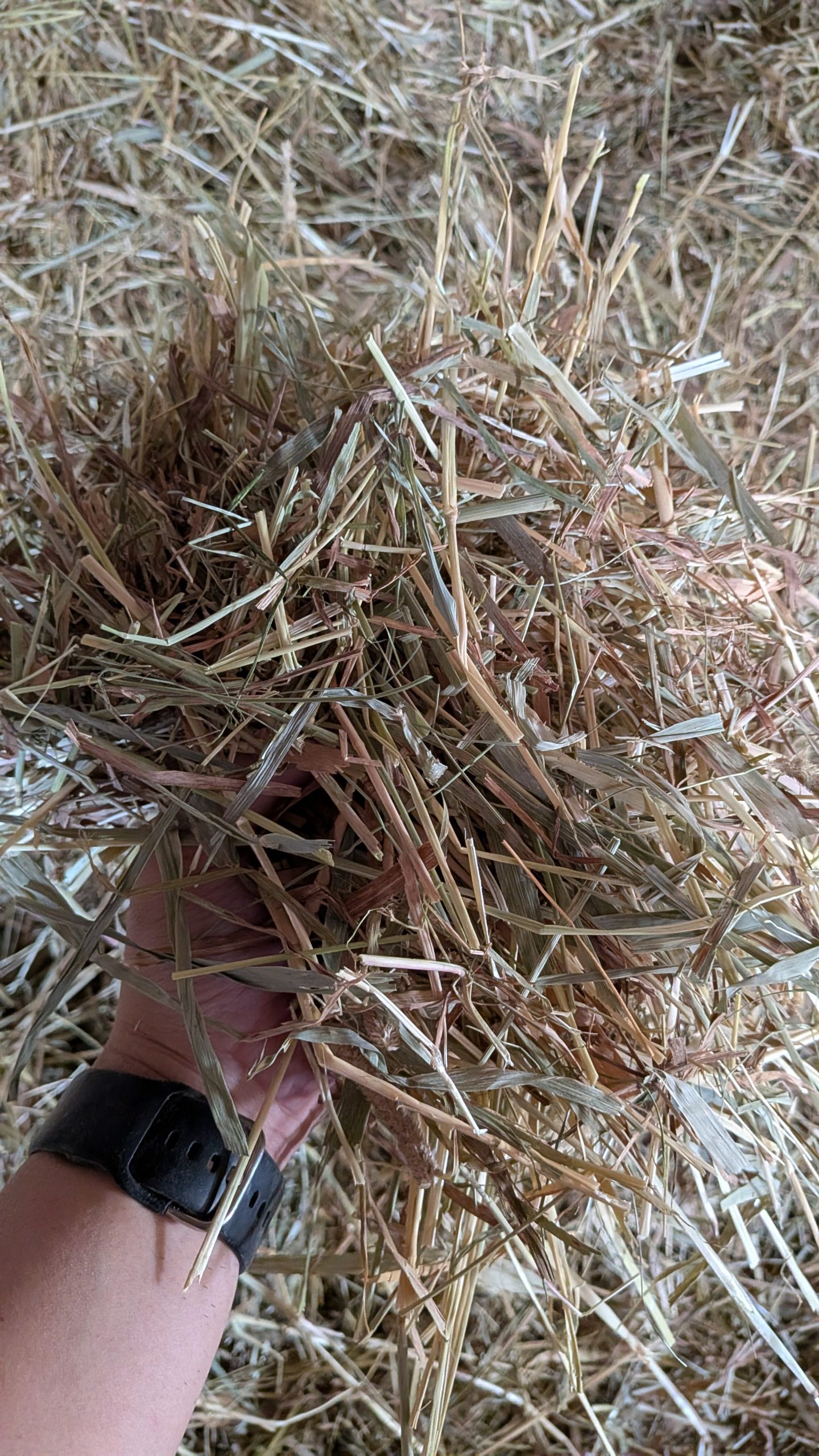 なごみ農産に納品された牧草